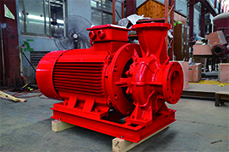 Horizontal Centrifugal Pump 1