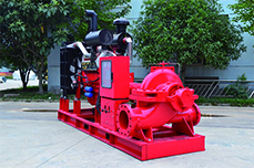 Split Case Diesel Fire Pump 2