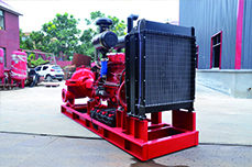 Split Case Diesel Fire Pump 3